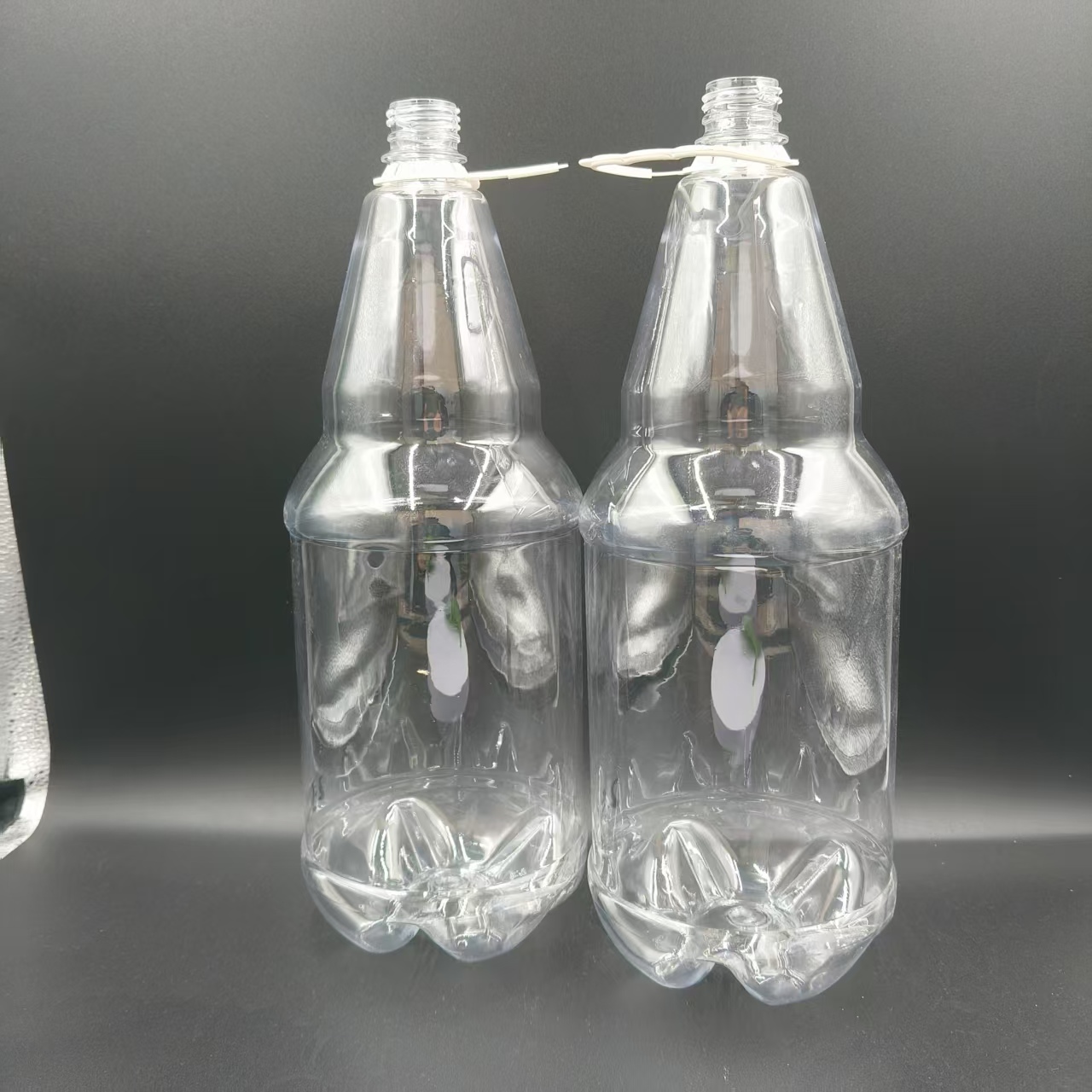 3ɢbbơƿb ͸petʳƷbƿ