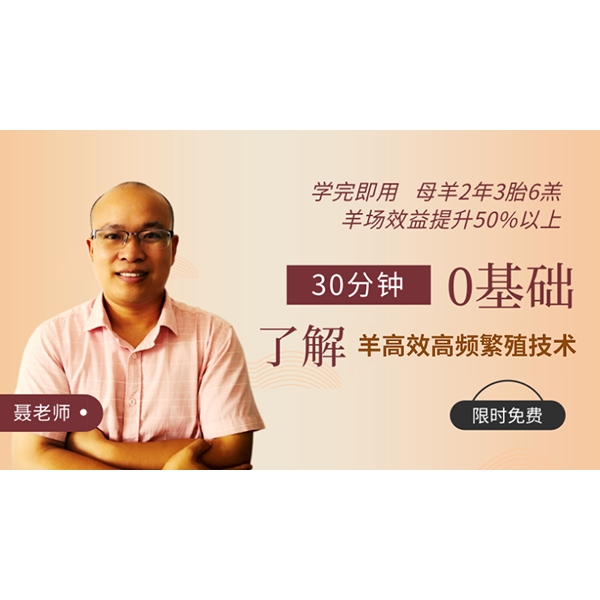 ͬڰl鶨rݔgFֳ23̥6Ŀˡ