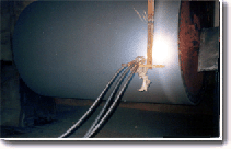 νٿƼ켈׉FͿP䓺Ͻĥ