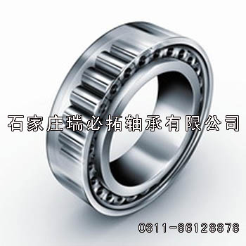 NSKMSNJ2218EM+HJ2218E NSKALS