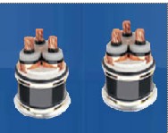 Ͼܿս^|悽ܿս^|ݼܿս^|L往|ֵه