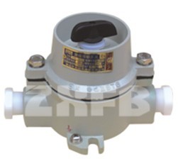 SWB-10h_P(ȟꖶʩS)