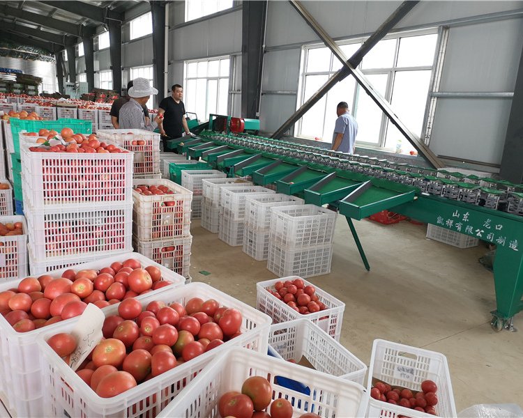 txCR㷬xCEAԄϹxC