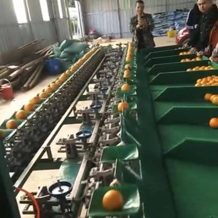 ɽtxCQطִСӋʴ_`С