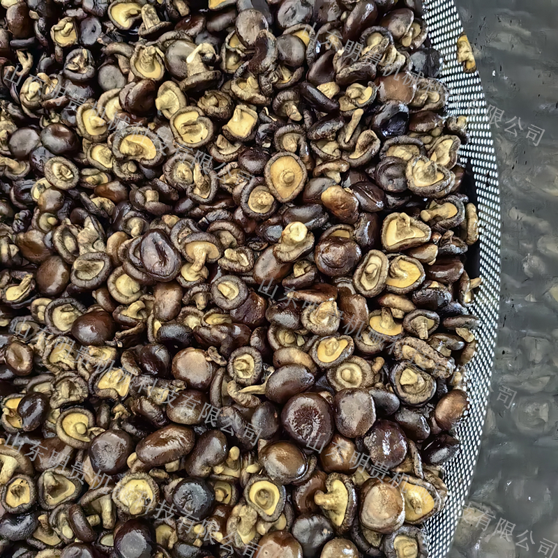 乽rըC㹽͜ÓˮCʳþӹOa