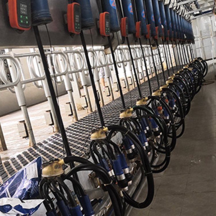 DPʽD̏dܻO侫ţD̏dܻO