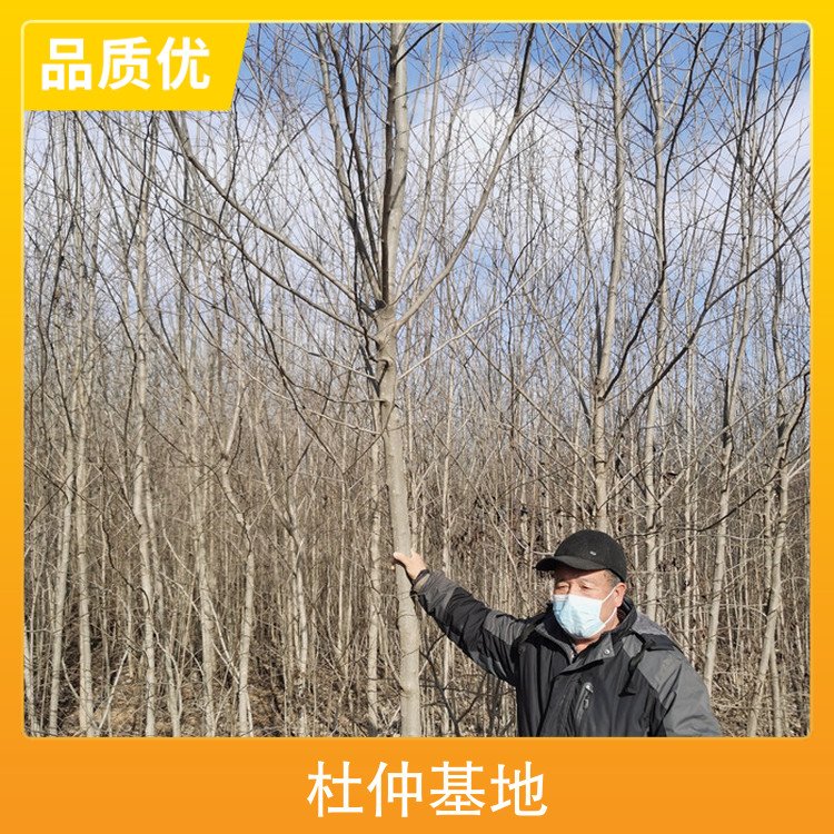 ٻƷN3.5mm؏4cmcm~c~