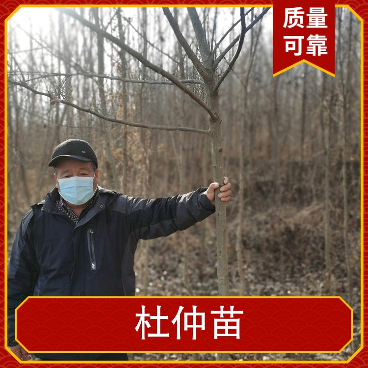 ƷNƷN1.2m؏2cm@;ؾGе