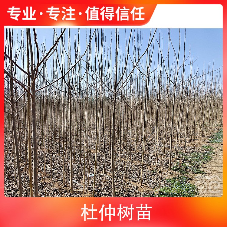 ٘NֲgƷN3m~4mbʽɎ