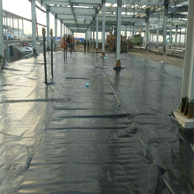 0.2Ĥ ʩ ĭذO 0.2mmϩPEĤ