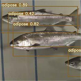 ƞ{B~~ӋϵyԄRe~RS-FP800