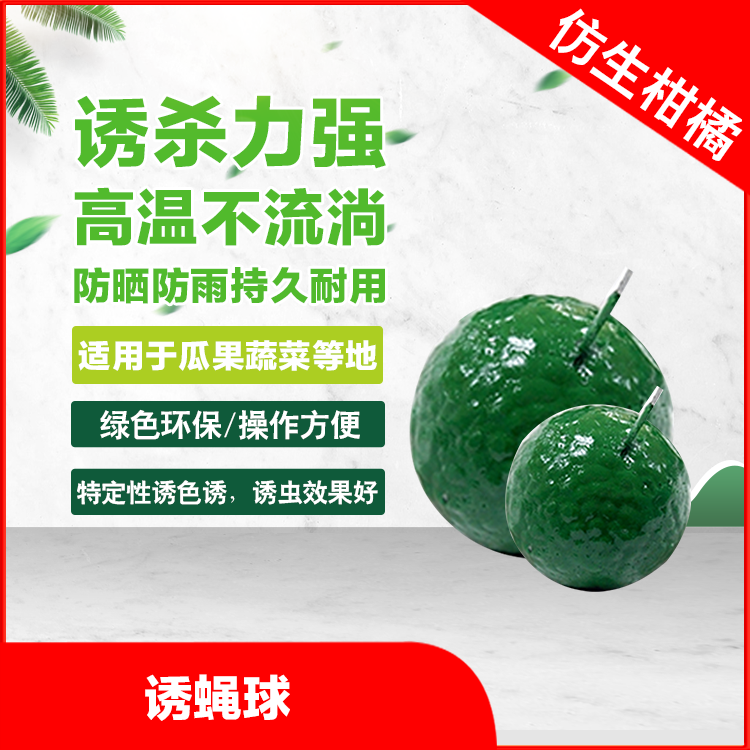 ȰƼTω˜ʎ㲻zԴ^aS