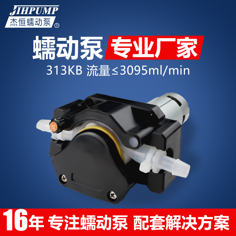 313KBܛӱôɘCǝ{̲ҺwùIbC