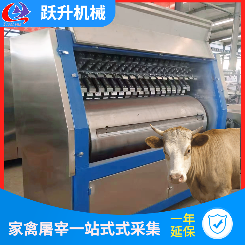 SţƤÓëCţƤÓëCƤÓë1