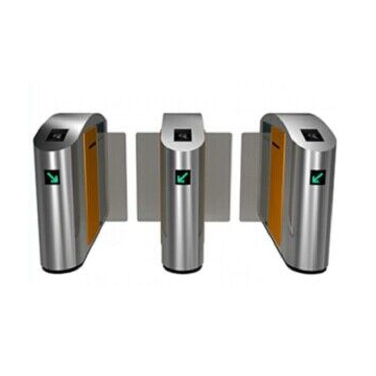 |IˢC|IС^TϵyĘReϵyvݏSN