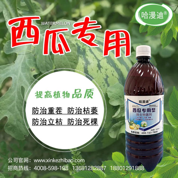 ϿήˎϸϳҊͷˎ1734