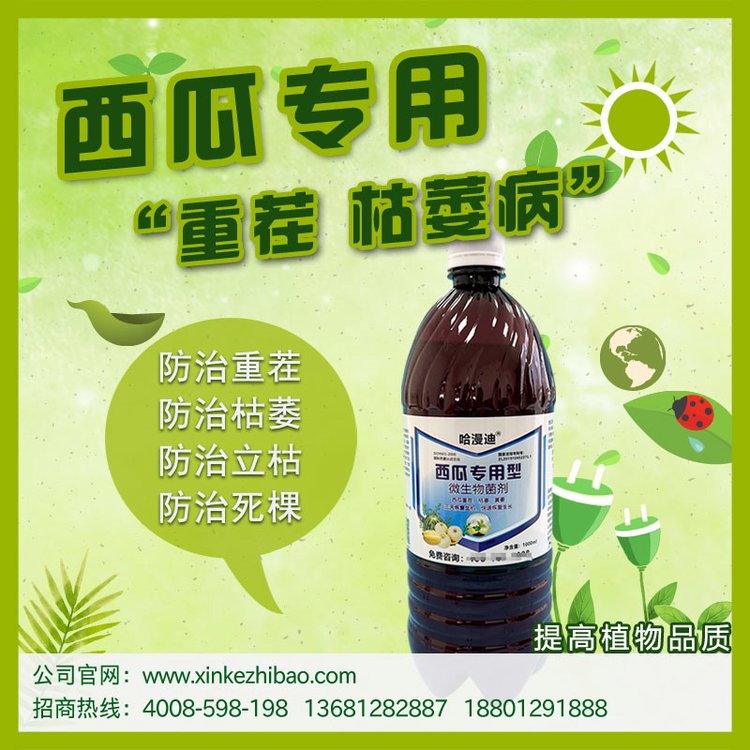 ϸʲôˎϿήİY̿Ҳ~Ƭ1457