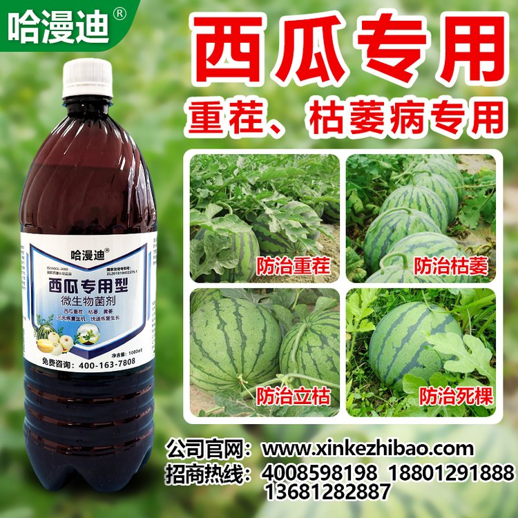 ̼ҲϳҊĲ⧵ɶˎز粡31