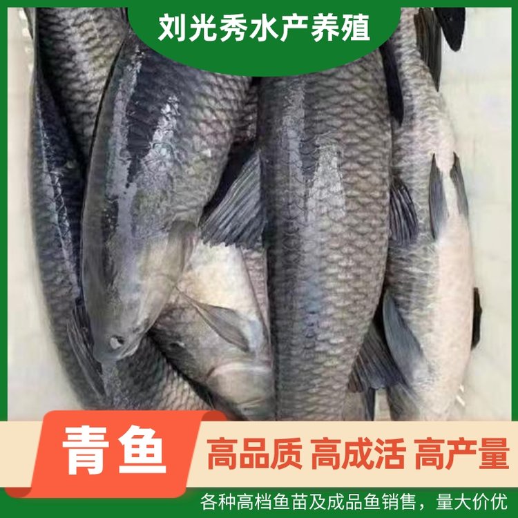 ߳ɻa~~Bֳ~~岨~aIصˮBֳ