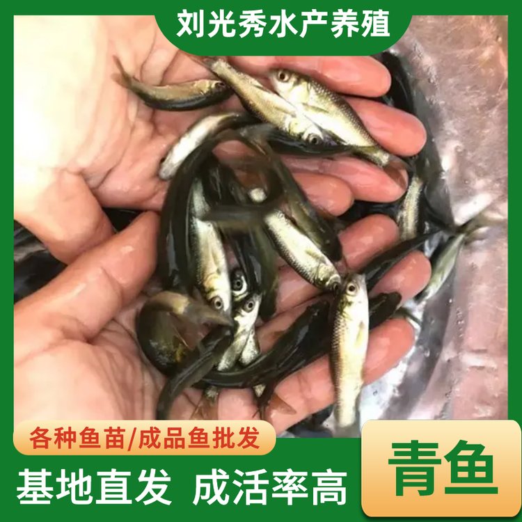 ~~~BֳˮaBֳNۻw\ݔ̼ҹ