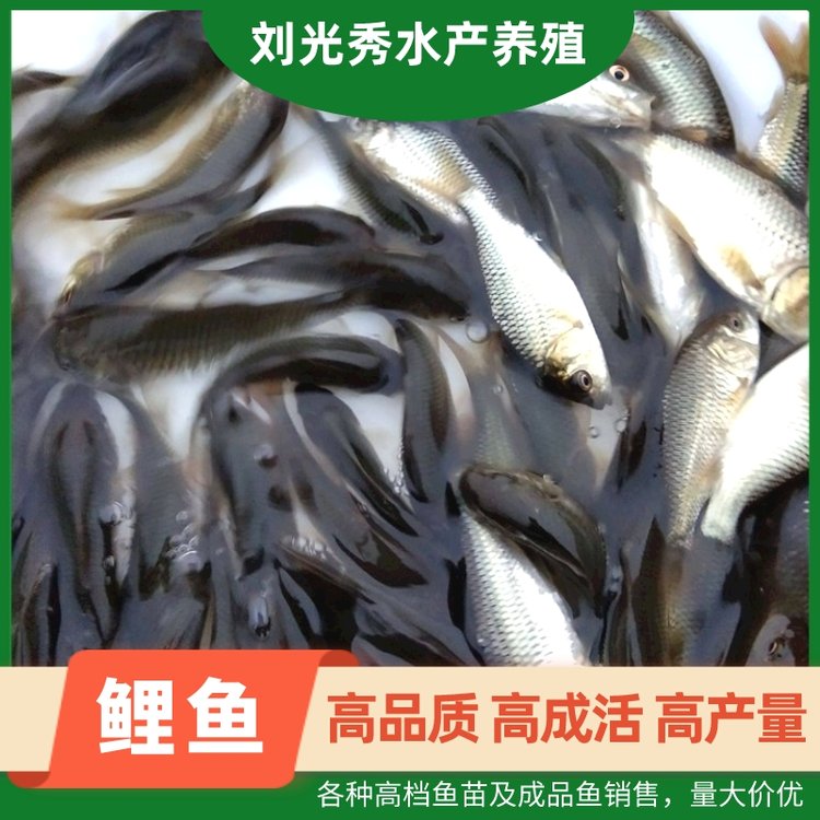 B~缰Ʒ~BֳˮaBֳNۻw\ݔ̼ҹ