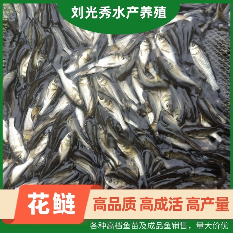 ~缰Ʒ~ֱُsǴ^~絭ˮ~