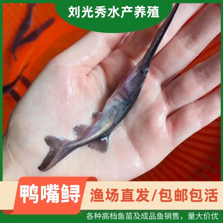 ˮ~\~翹׳ɻBֳڶLѸك|~