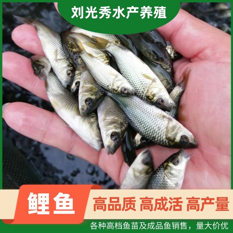 ؑc~B~BֳˮaBֳNۻw\ݔ̼ҹ