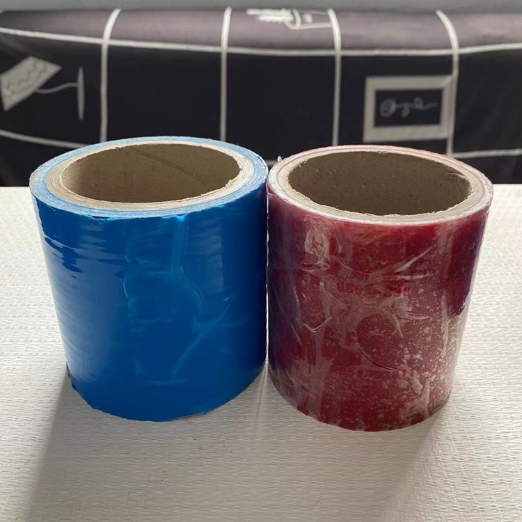 PE{ɫoĤTҾXͲıoĤֶ֧