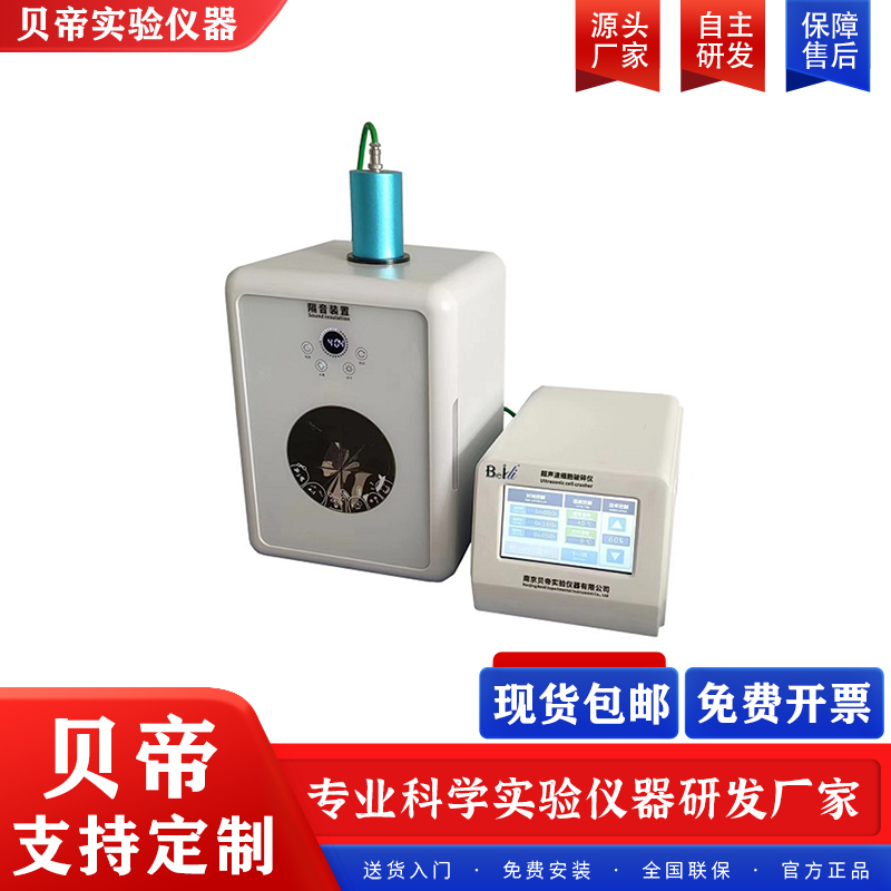 xһwʽСͷǽ|ʽDNAxؐ