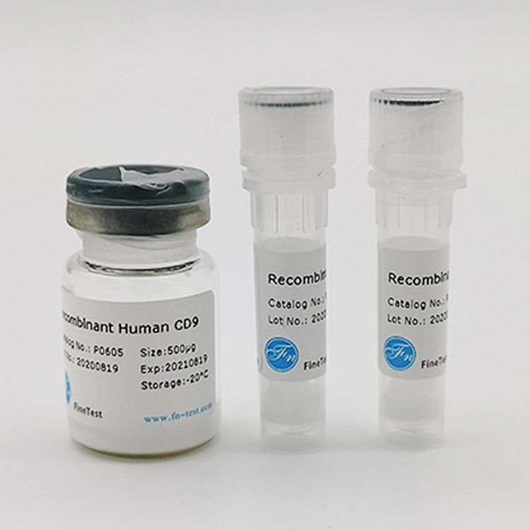 ԴANAPC13ؽM(RecombinantHumanANAPC13)