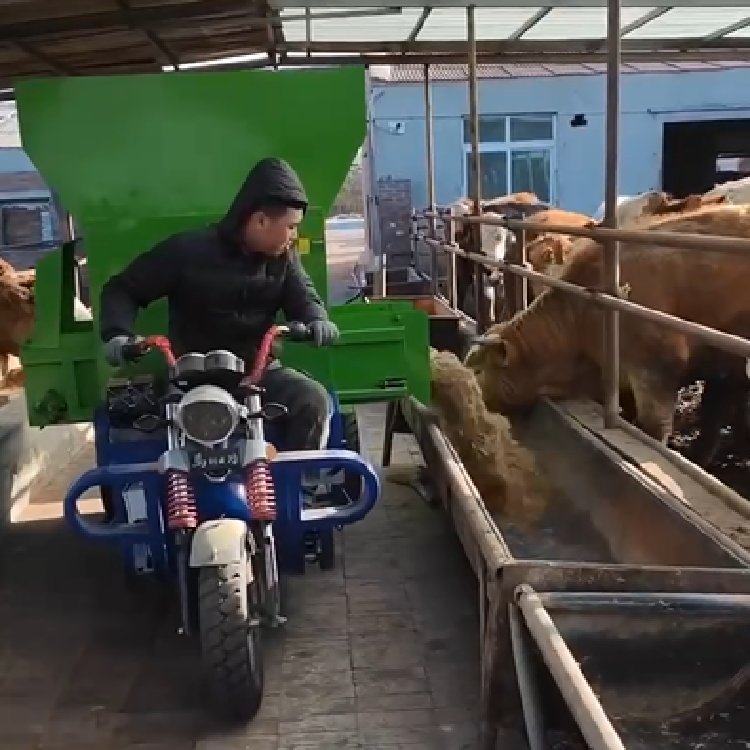 ţBֳʡ܇óϿ܇ʥ̩늃ι܇