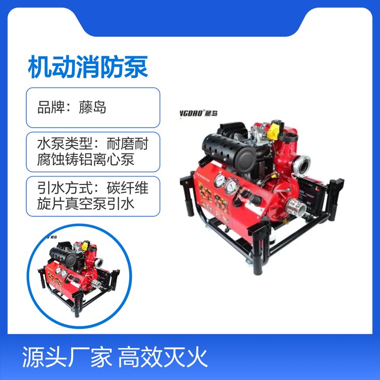 ٍu13Ŗʽ͙CCߓP̑Ԯ