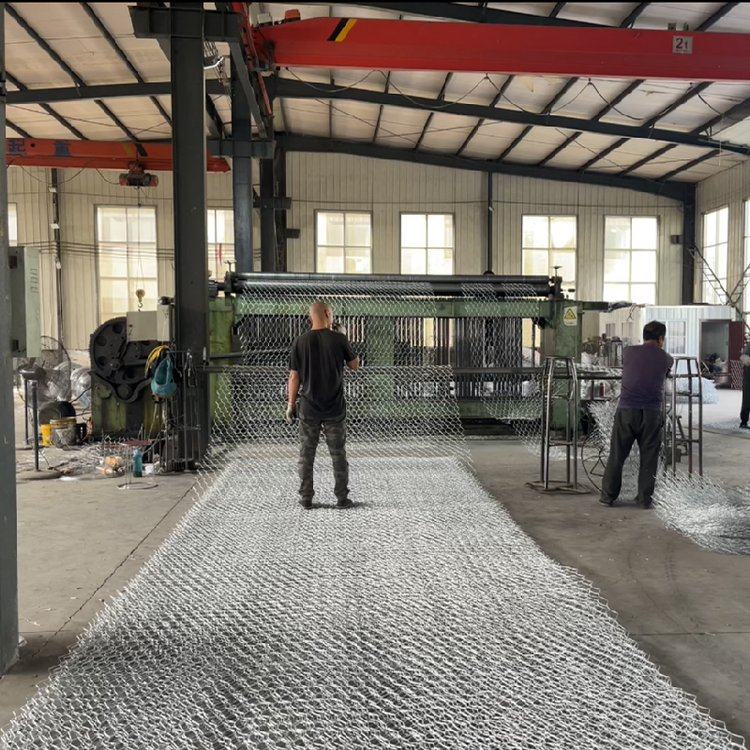 ǽƷGAR1䓲ĸxܾWɫoW