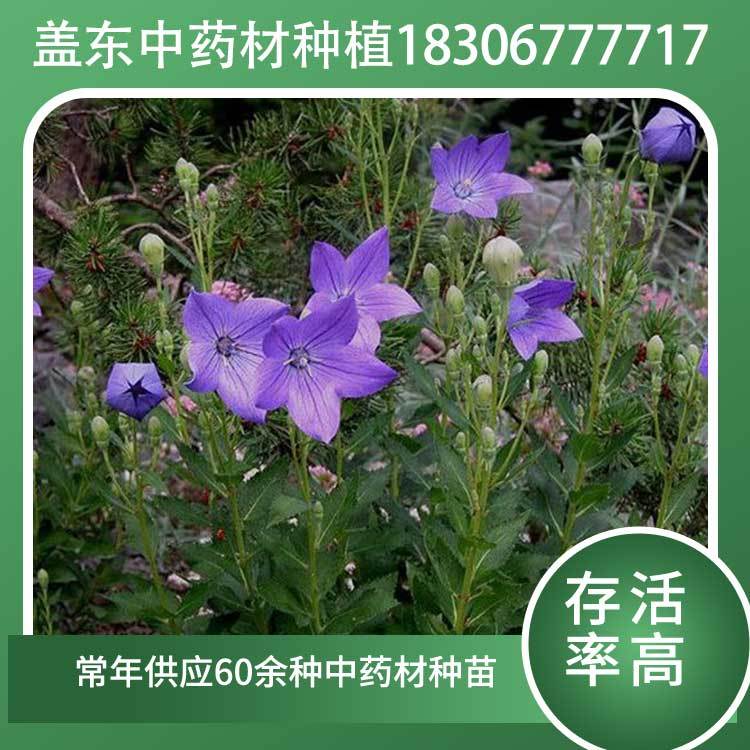 w|ˎĽ۹NӷNֲԴ^aϲꖵ