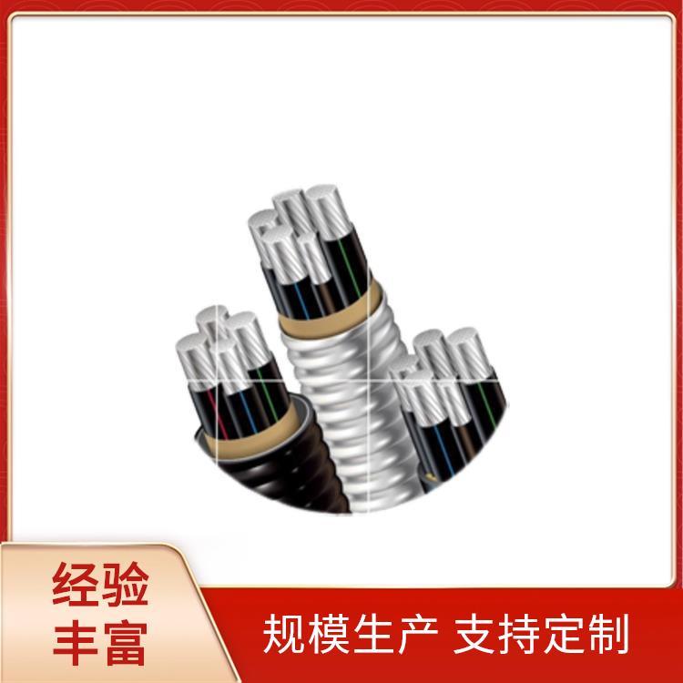 ׃늹ɽ|̩ɽ|SֱNXϽ|SEU