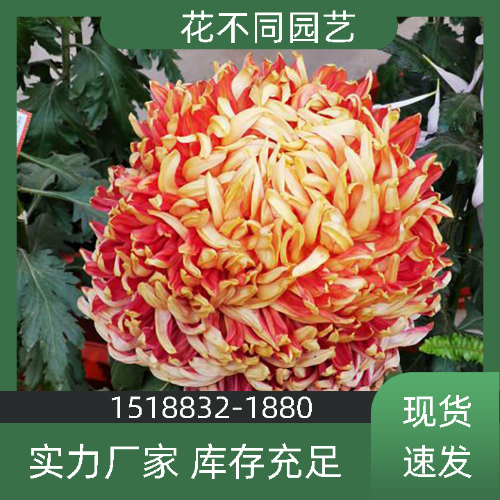 ջչչOӋ˾پِػͬ@ˇƷRȫr