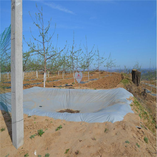 ܛwˮaSҿɶʩνQȱˮy}