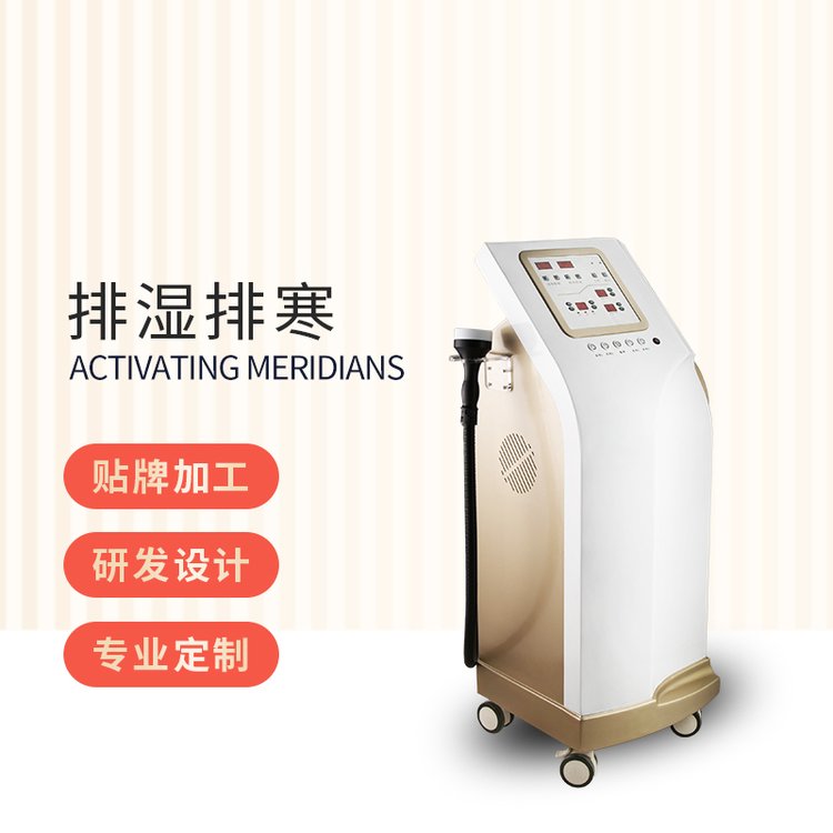 RƼaޏ̓xpι޹{wļgаl