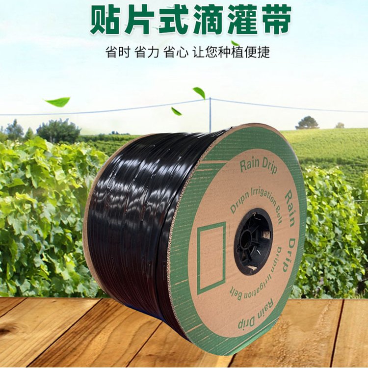 NƬʽιʽιݮ߲˴ι܇̩Ƶ