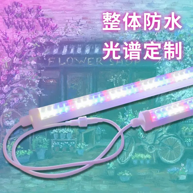 BGHXN02ֲL1.5mLӼ2835LEDt{24wPC⚤