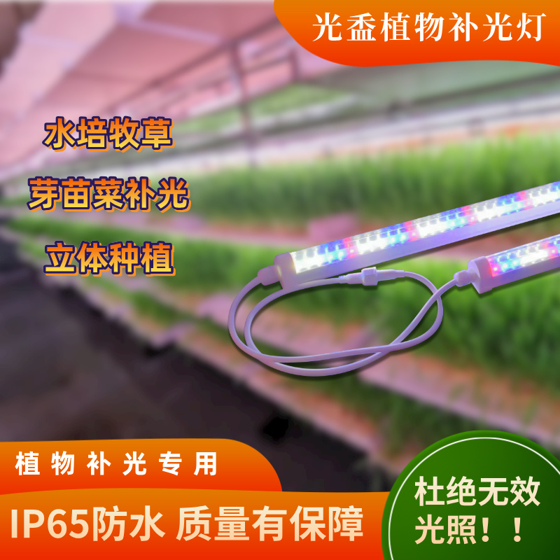 BBʳþwӼܷNֲ﹤S̫ꖹLa