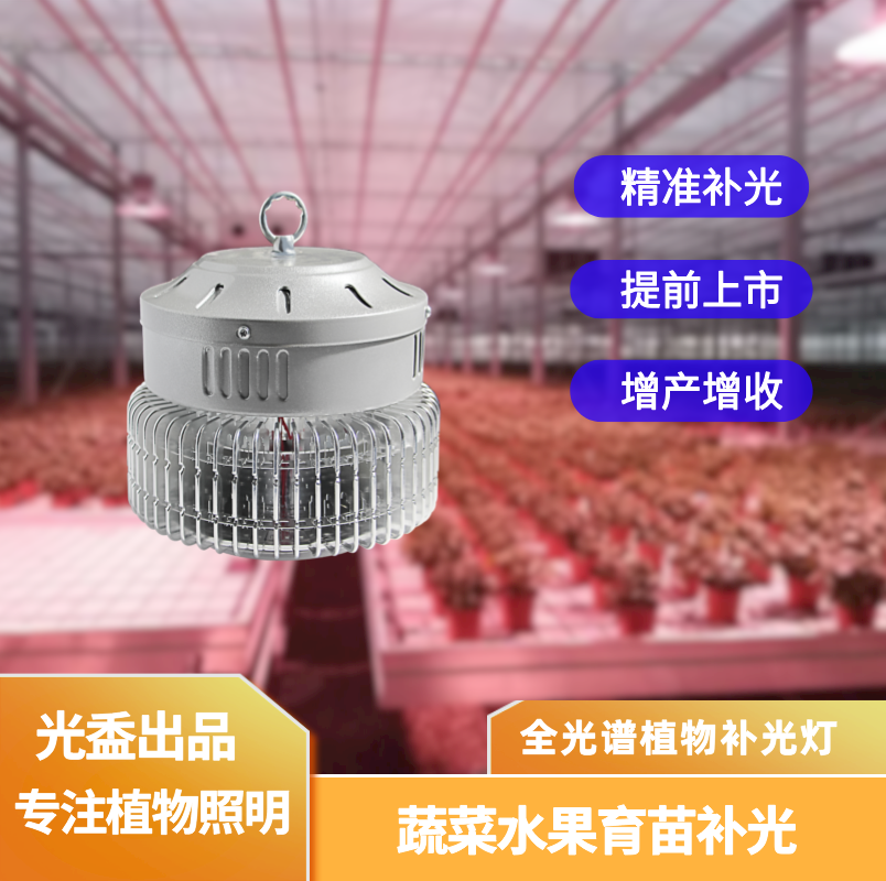 BGHMX100WyjҴСtLLEDȫVֲa