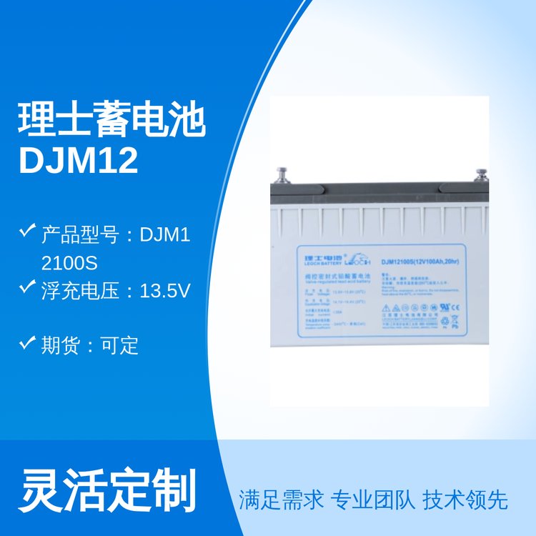 ʿ늳DJM12100sϰھ12V100AHSoY|Rȫ