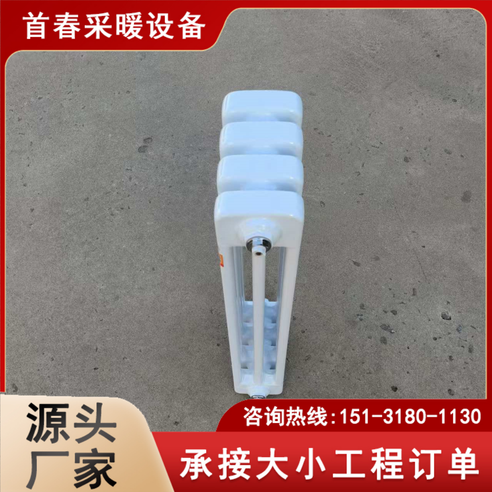 GGZT3-600-1,0ůƬ״SҰl؛ֶ֧