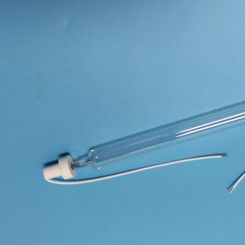 BIOӾˮ̎UVßLPE000010