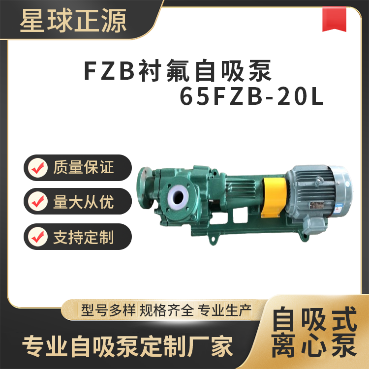 Դ65FZB-20LrķxıýٻwԹ