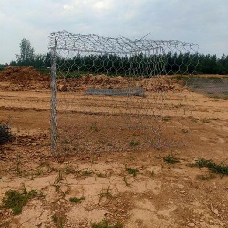 ^ʯ\WӵWչԺðܸeǸeW