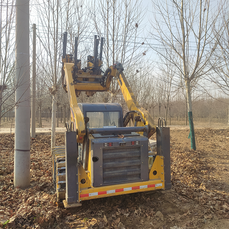 ژCژоڙCPʽƘCpɰεض