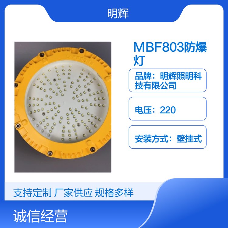 MBF803IP66oLEDƽ_SɫڒʽXϽ߹S